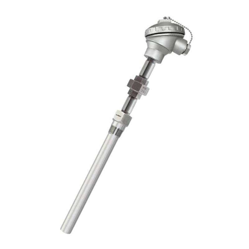 Mineral insulated RTD sensor with thermowell